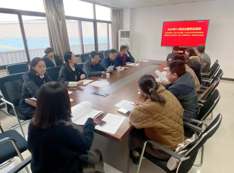 深入學(xué)習(xí)黨的二十屆三中全會(huì)精神，開(kāi)展主題黨日活動(dòng)
